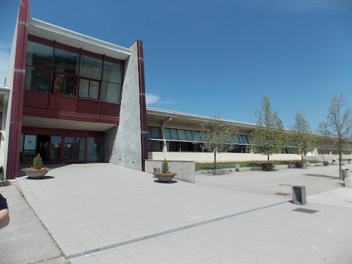 Instituto Cirvianum De Torelló