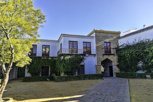 Sede Olavide en Carmona - Rectora Rosario Valpuesta