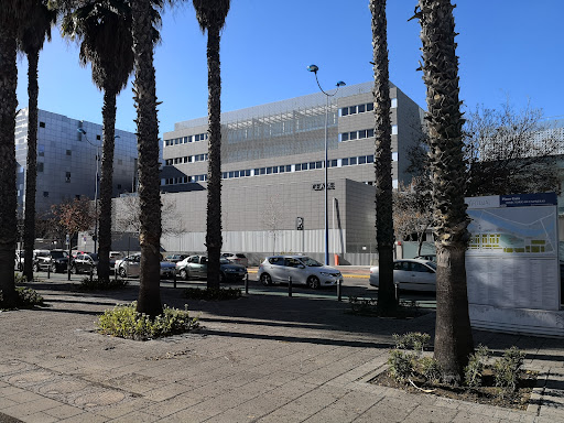Centro Universitario San Isidoro. SEVILLA