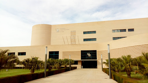 Universidad Miguel Hernández