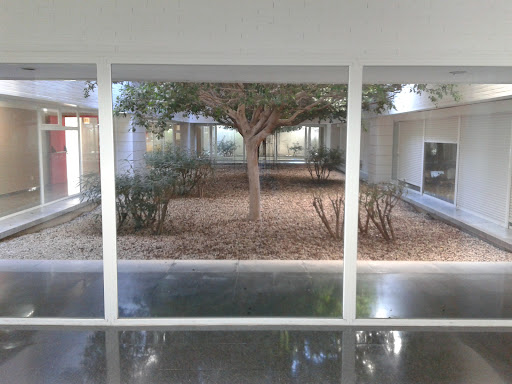 UNIVERSIDAD UMH