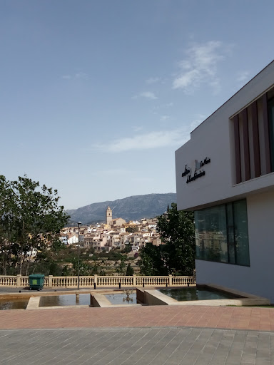 SEU UNIVERSITARIA