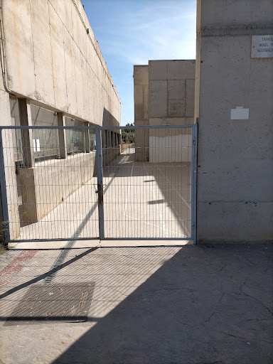 IES MALLADETA