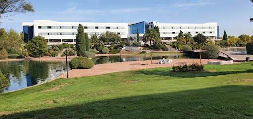 Universidad Europea de Madrid