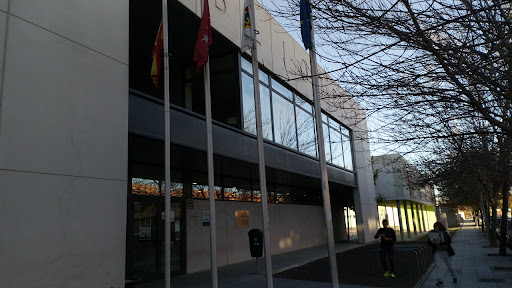 Uned Pinto