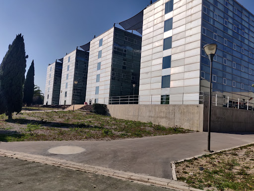 Universidad de Murcia
