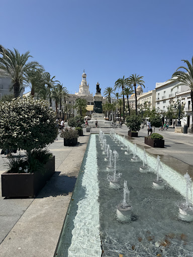 Universidad de Cádiz
