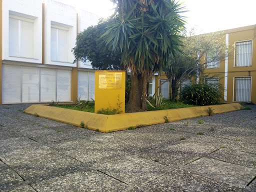 UNED - Campo De Gibraltar