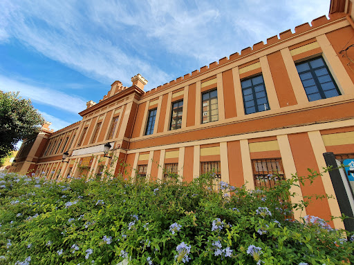 Escuela Universitaria de Magisterio Virgen de Europa (Magisterio)
