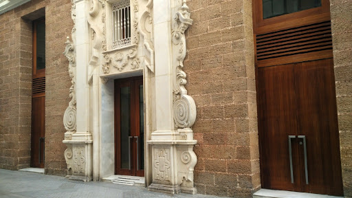 Centro Universitario de Enfermería Salus Infirmorum