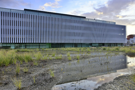Facultad de Bellas Artes UPV/EHU