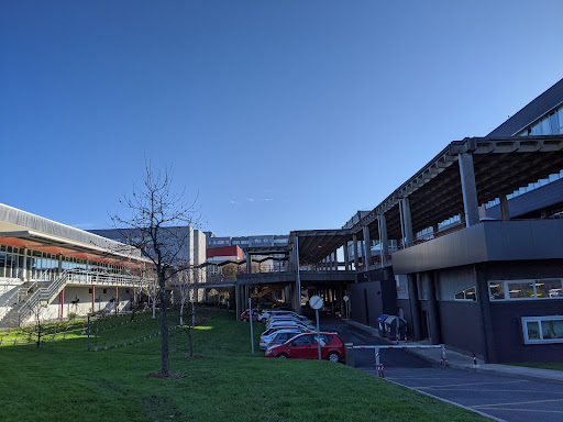 Universidad del País Vasco