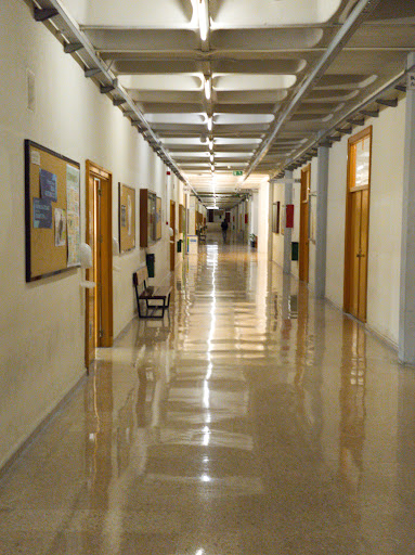 Facultad de Medicina y Enfermería UPV/EHU