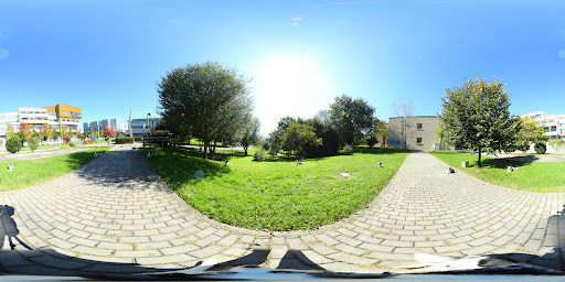 Universidad del País Vasco