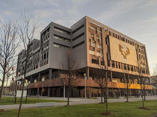 Universidad del País Vasco