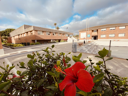 Universidad del Atlántico Medio (UNAM)