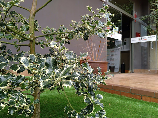 ESDAC-ESNE Asturias