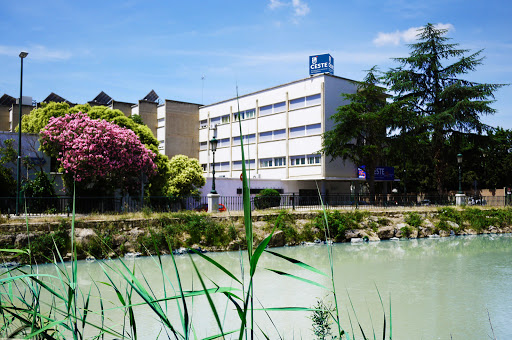 CESTE, Centro Universitario