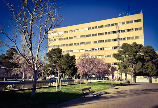 Universidad de Zaragoza