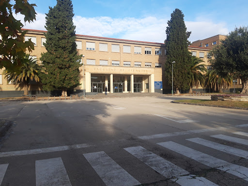 Universidad de Zaragoza