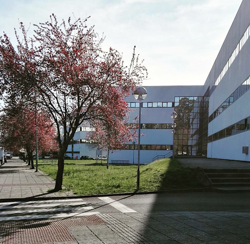 Campus Universitario de Pontevedra