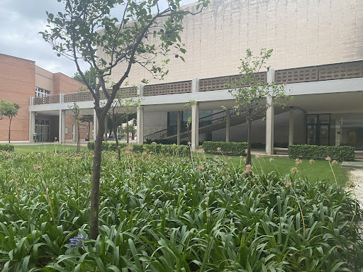 Universitat De Gandia