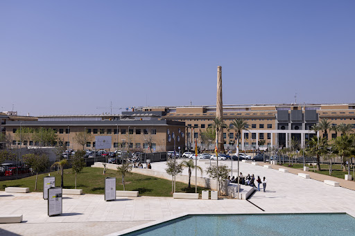 Universidad CEU Cardenal Herrera - Campus Alfara del Patriarca