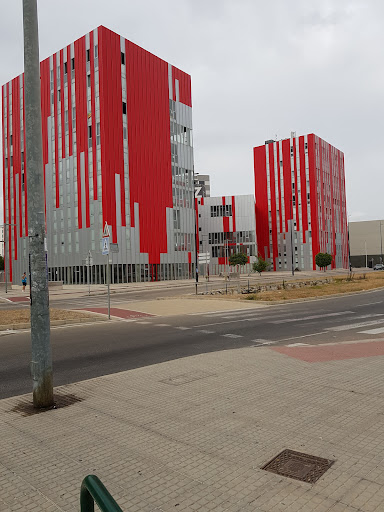 Universitat De Gandia
